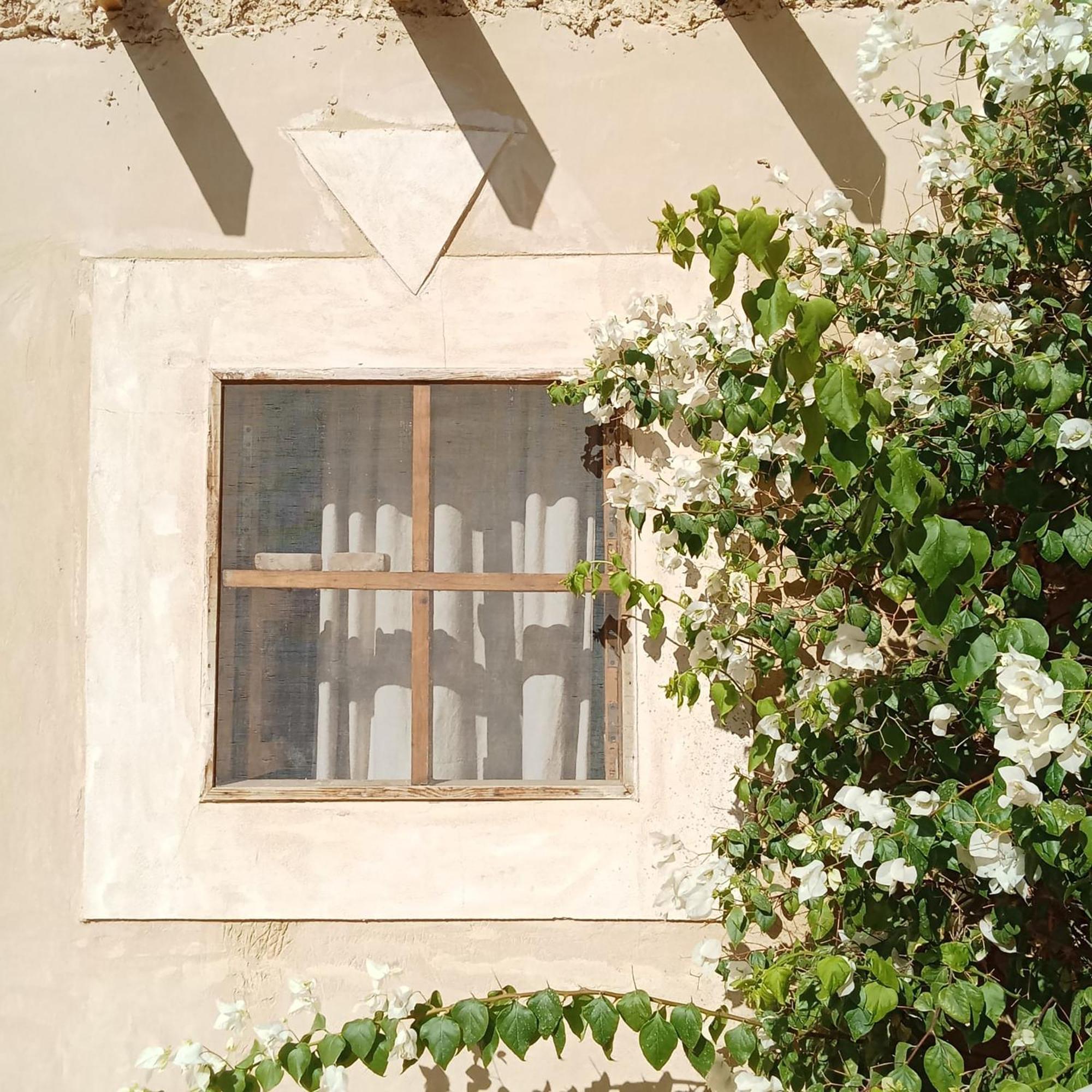 Tanirt Ecolodge Siwa Oasis ภายนอก รูปภาพ