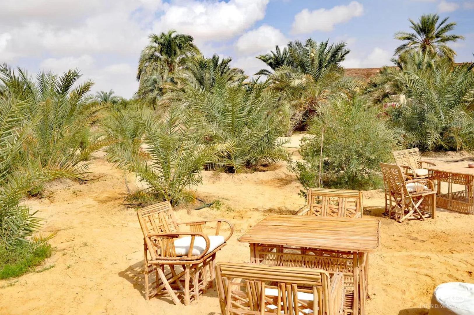 Tanirt Ecolodge Siwa Oasis ภายนอก รูปภาพ
