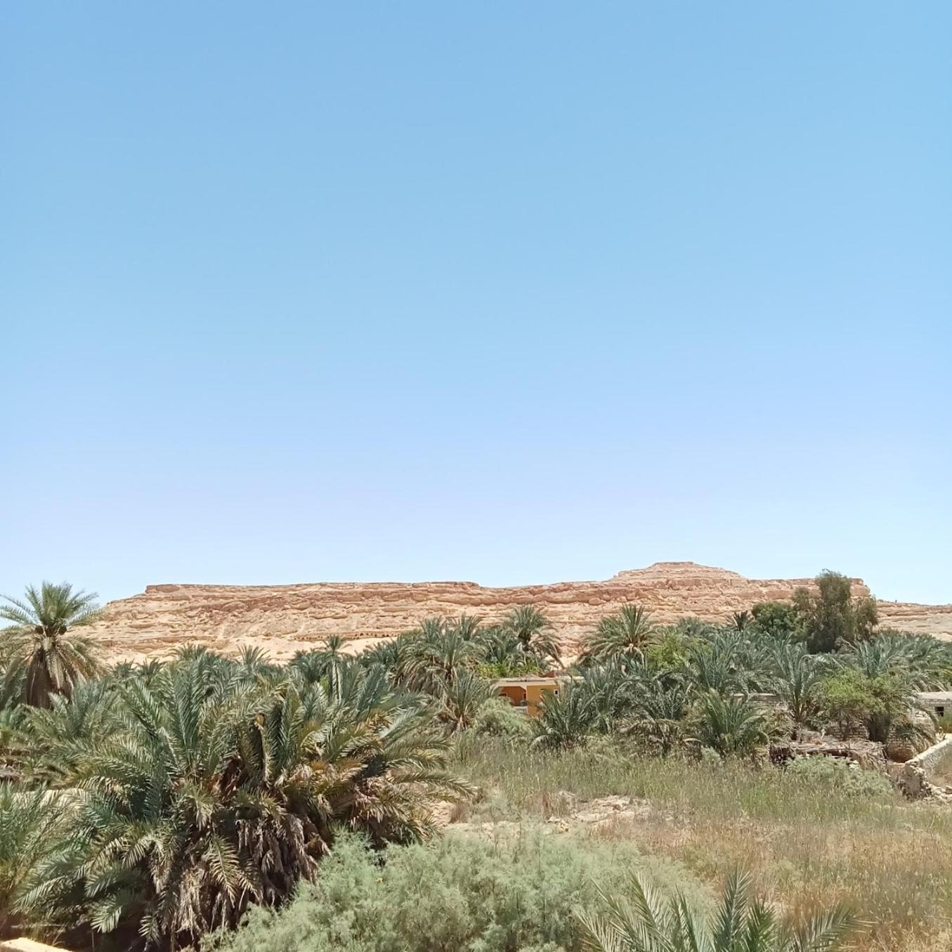 Tanirt Ecolodge Siwa Oasis ภายนอก รูปภาพ